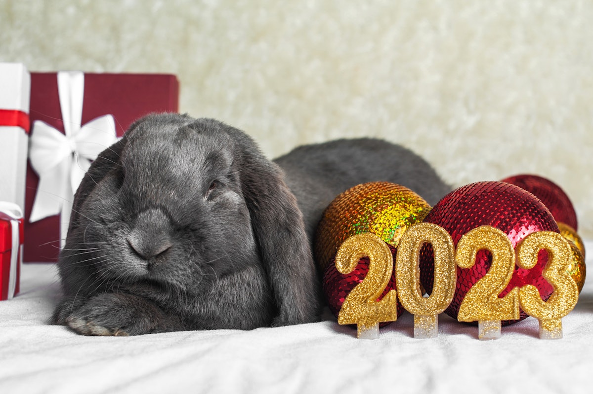 Celebrate Lunar New Year with Rabbit Nail Art